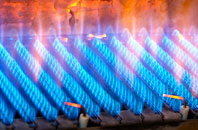 Llanvapley gas fired boilers